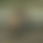 LolaTrans24, Trans, 35 ans, Thuin (2)
