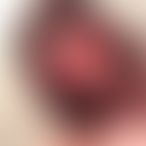 TransSoumisexx, Trans, 31 ans, Liège (2)