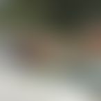 Lola_T85, Trans, 32 ans, Tournai (2)